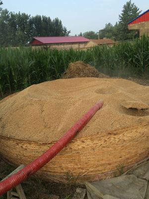 小型糧食吸糧機(jī)田間使用